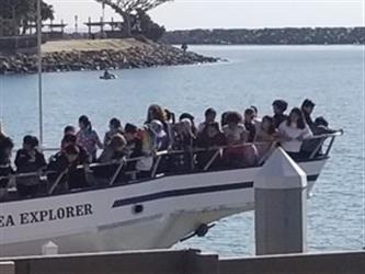 Whole school whale watching trip