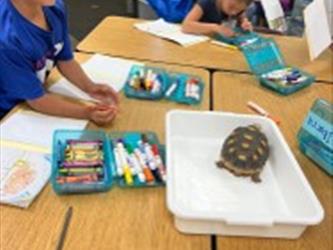 Marine biology lessons