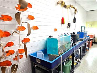 Marine Biology Lab